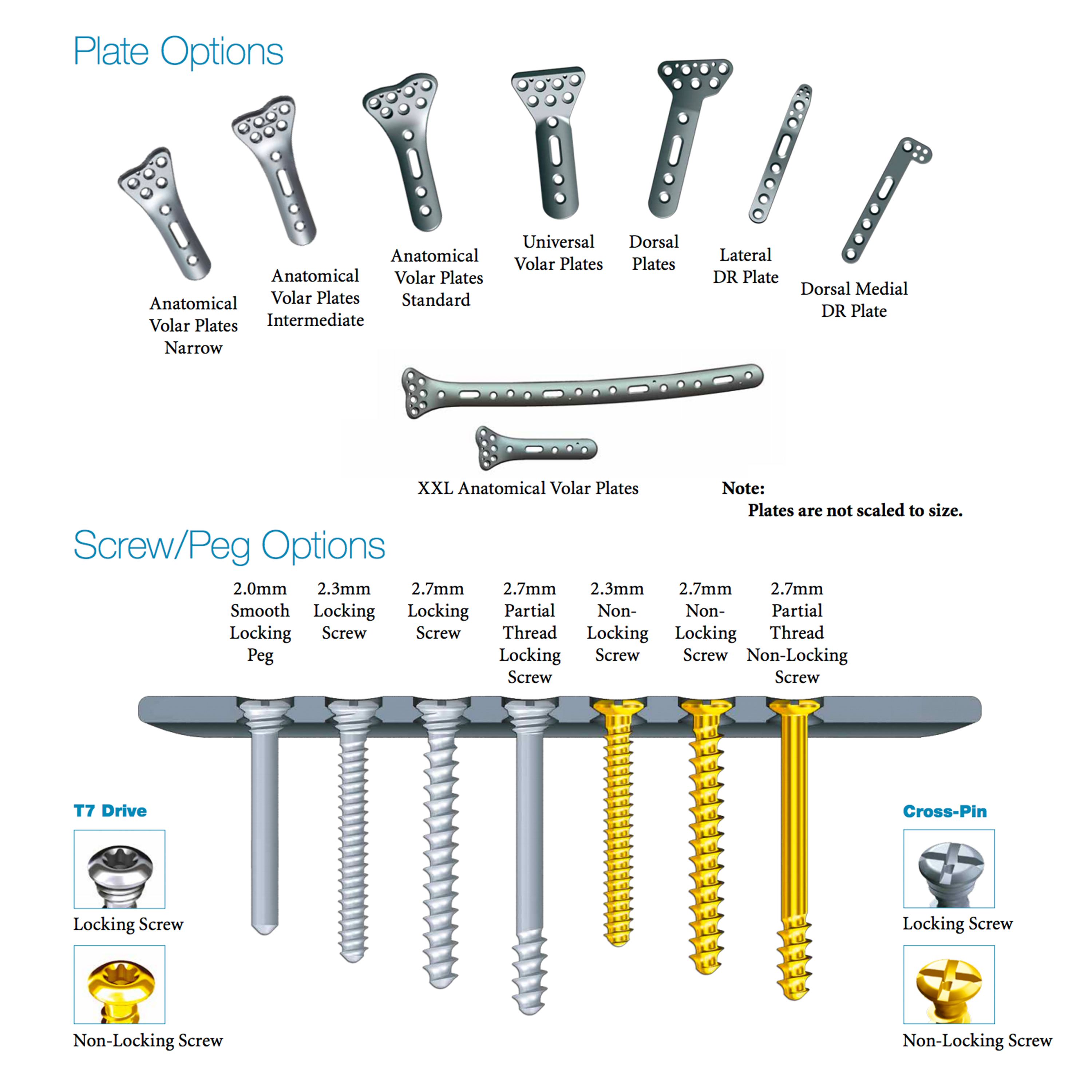 VariAx Distal Radius Locking Plate Sytem (Cross Pins & Torx Screws) | The SmartLock Locking Technology in the VariAx System is designed to encourage a locked screw to plate interface due to the combination of Grade II Titanium plates (softer) and Grade V Titanium screws/pegs (harder).